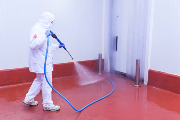 Best Factory Floor Cleaning  in Angels, CA