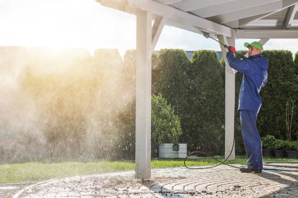 Best Pre-Holiday Cleaning  in Angels, CA