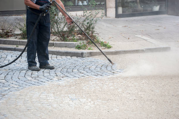 Best Gutter Cleaning  in Angels, CA